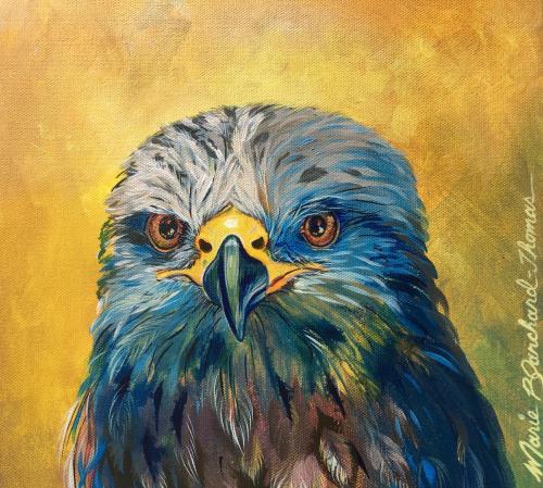 “Young Hawk Focus”11x14”Private collectionAcrylic on canvas 